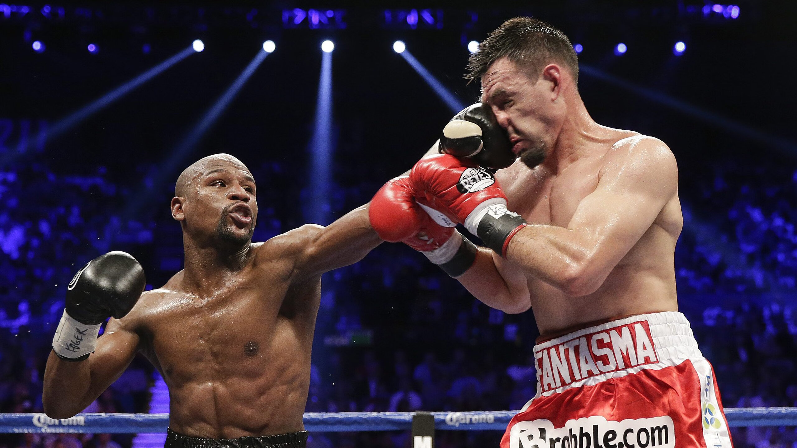 世界海钓锦标赛精彩瞬间集锦发布，观看量激增，世界海钓品牌排行榜